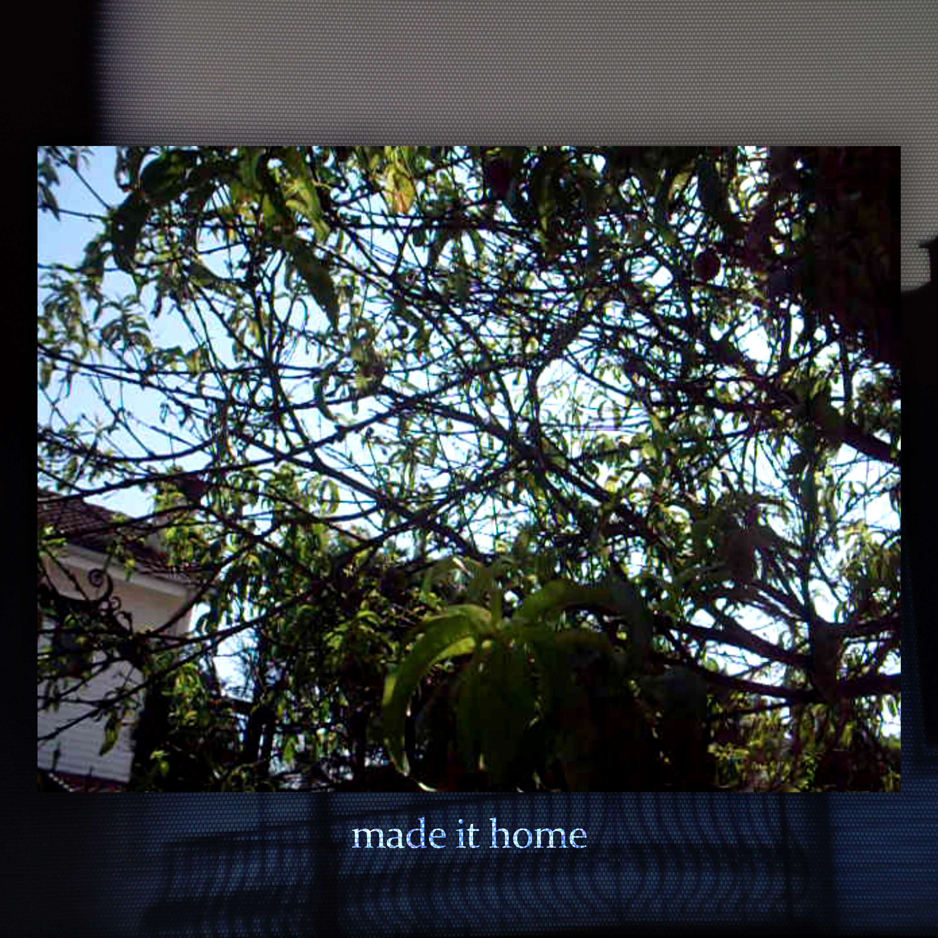 cover art for made it home